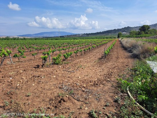 Parcela en venta en Pinoso (Alicante)