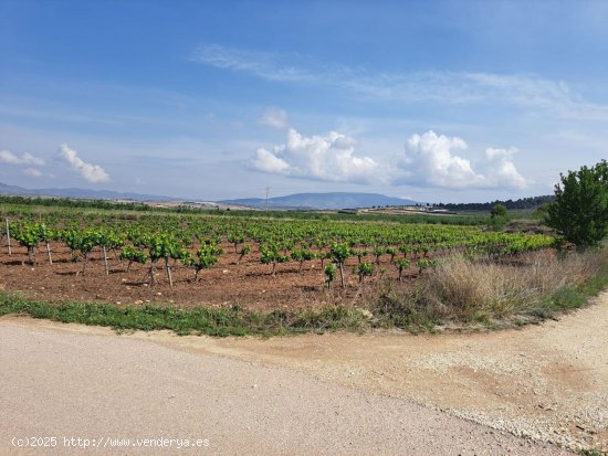 Parcela en venta en Pinoso (Alicante)