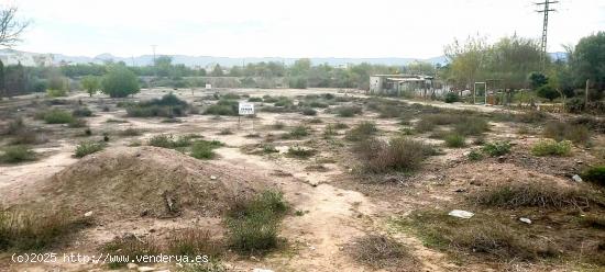 Parcela rústica junto al  río - MURCIA