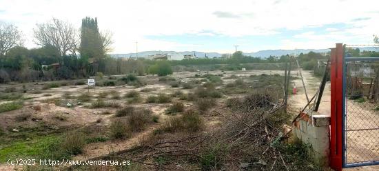 Parcela rústica junto al  río - MURCIA