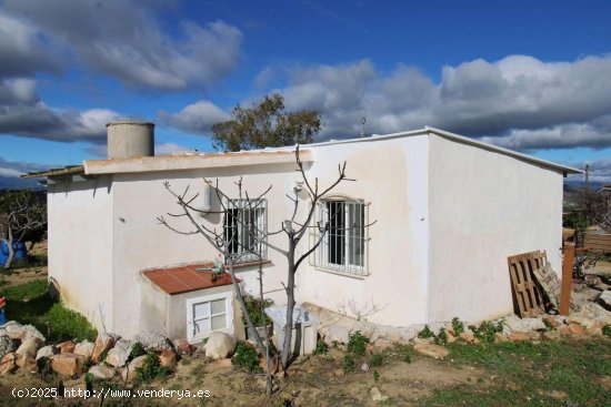  Casa en alquiler en Alhaurín de la Torre (Málaga) 