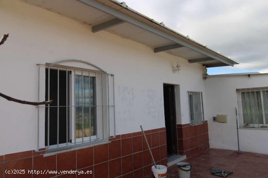 Casa en alquiler en Alhaurín de la Torre (Málaga)