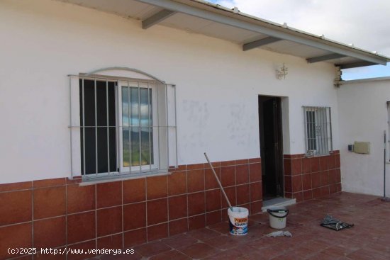 Casa en alquiler en Alhaurín de la Torre (Málaga)