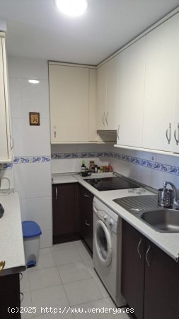 Apartamento en alquiler en Granada (Granada)