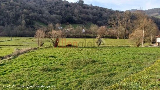 Parcela en venta a estrenar en Oviedo (Asturias)