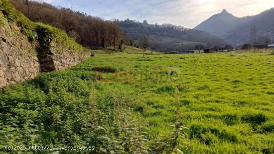 Parcela en venta a estrenar en Oviedo (Asturias)