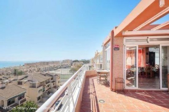  Piso en venta en Guardamar del Segura (Alicante) 