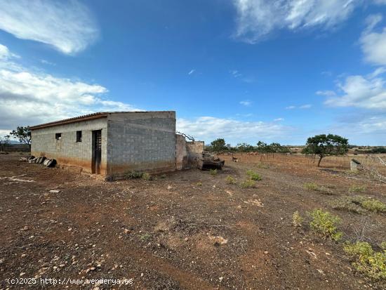 FINCA RÚSTICA EN CAN PICAFORT - BALEARES