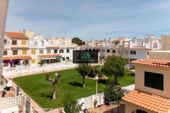 Villa en alquiler en Torrevieja (Alicante)