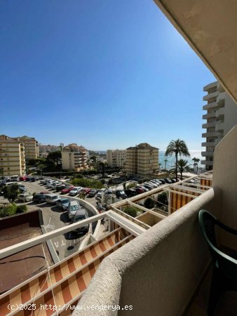  Estudio en alquiler en Benalmádena (Málaga) 