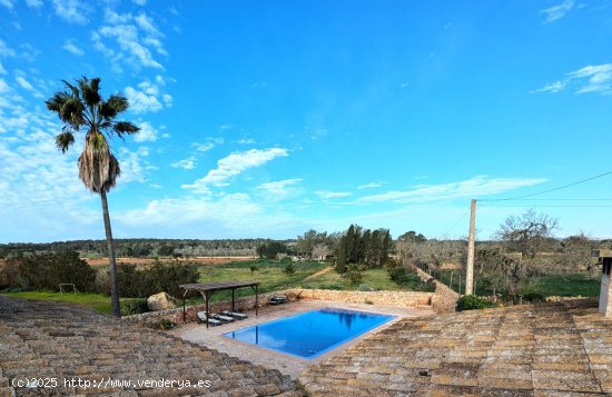 Finca en alquiler en Campos (Baleares)