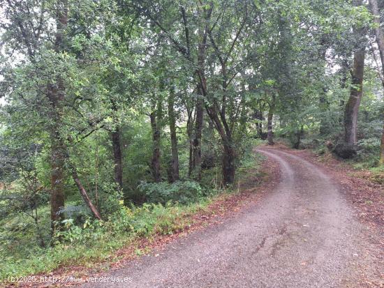 Terreno en venta con casa de piedra en Riaño, Solorzano - CANTABRIA