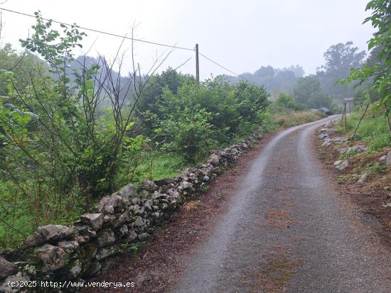 Terreno en venta con casa de piedra en Riaño, Solorzano - CANTABRIA