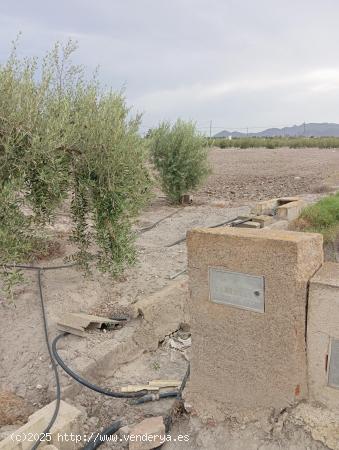 PARCELA CON FÁCIL ACCESO JUNTO A LA ESTACIÓN DE PUERTO LUMBRERAS - MURCIA