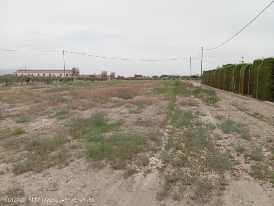 PARCELA CON ACCESO POR CARRETERA JUNTO A LA ESTACION DE PUERTO LUMBRERAS - MURCIA