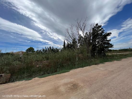 TERRENO URBANO RESIDENCIAL EN DELTEBRE - TARRAGONA