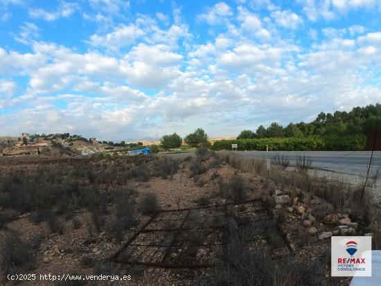  FINCA RÚSTICA IDEAL PARA PLANTACIÓN AGRICOLA - MURCIA 