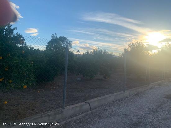 Terreno rústico en la huerta de Murcia - MURCIA