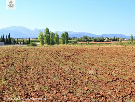  FINCA RÚSTICA EN LLUBÍ CON  AGUA - BALEARES 