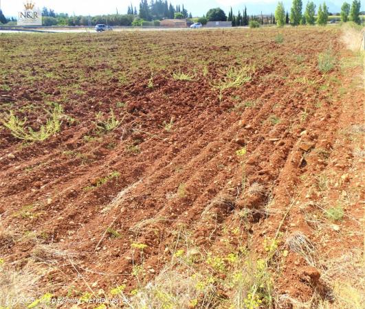 FINCA RÚSTICA EN LLUBÍ CON  AGUA - BALEARES