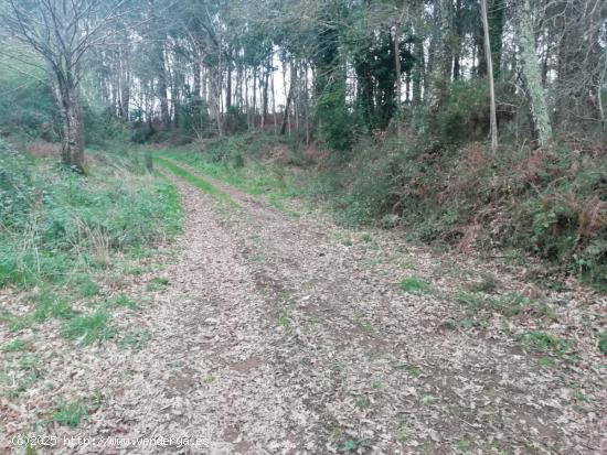 Terreno en Buxán - Coristanco - A CORUÑA