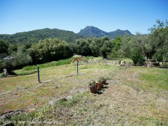 VENTA TERRENO UBRIQUE - CADIZ