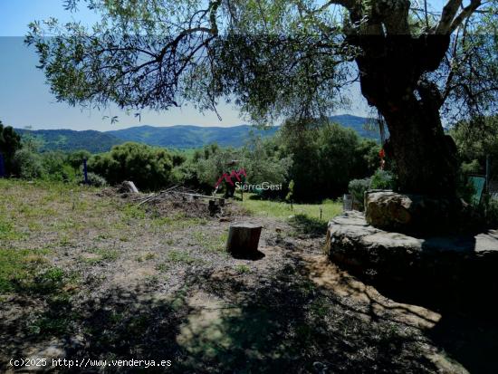 VENTA TERRENO UBRIQUE - CADIZ