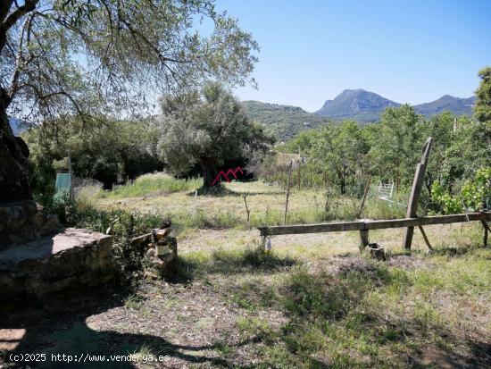 VENTA TERRENO UBRIQUE - CADIZ