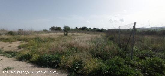  VENTA PARCELA. ARCOS DE LA FRA. - CADIZ 