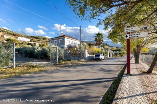 Fantástica parcela urbana en Iznalloz, construya su sueño!🏡💫 - GRANADA