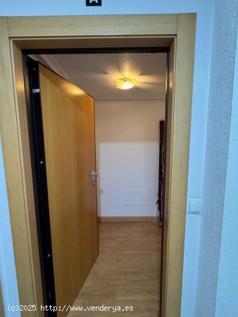 CENTRICO APARTAMENTO EN EL CORAZON DE TORREVIEJA - ALICANTE