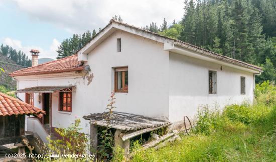 Se Vende en Cangas del Narcea - ASTURIAS