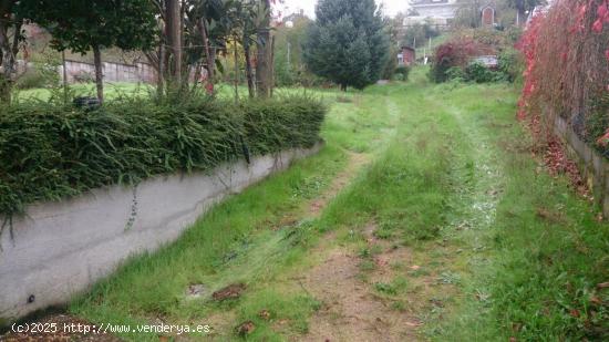 TERRENO EN SAN CIBRAO DAS VIÑAS - ORENSE