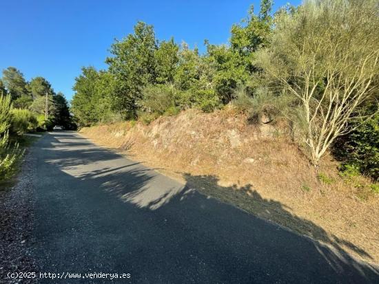 PARCELA DE 4846M2  A 15 MINUTOS DE OURENSE , ORDENANZA ACTUAL CONSTRUCCIÓN 2 VIVIENDAS - ORENSE