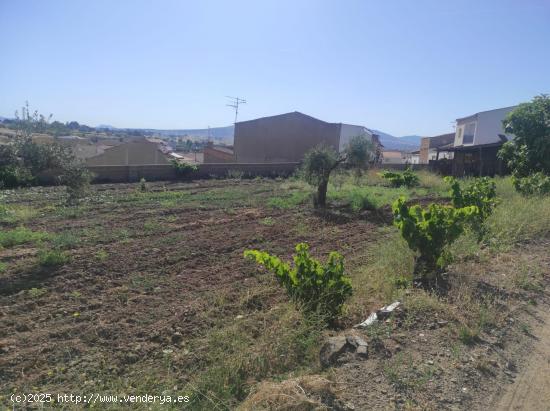 SOLAR EN VENTA EN ESPARRAGOSA DE LA SERENA - BADAJOZ