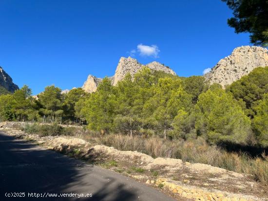  🌳 Se vende terreno rústico en Polop - ALICANTE 