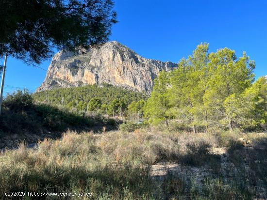 🌳 Se vende terreno rústico en Polop - ALICANTE