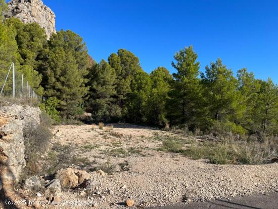 🌳 Se vende terreno rústico en Polop - ALICANTE