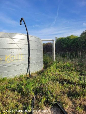 Finca agricola en Vilanova i La Geltru