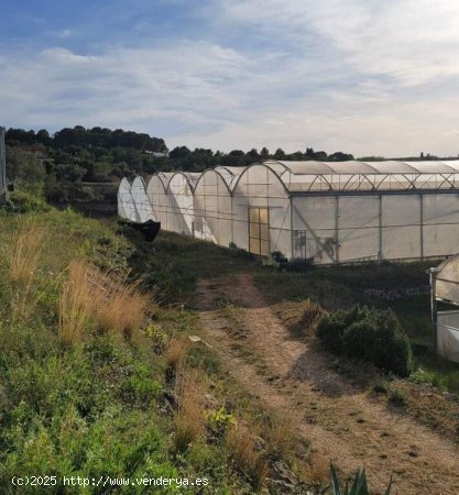 Finca agricola en Vilanova i La Geltru