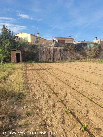 Finca agricola en Vilanova i La Geltru