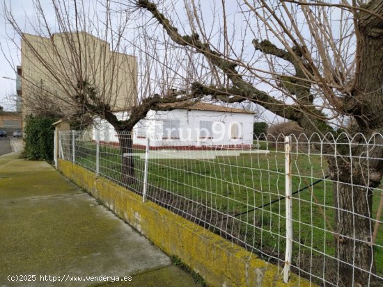 TERRENO URBANO EN VILANOVA DEL SEGRIA