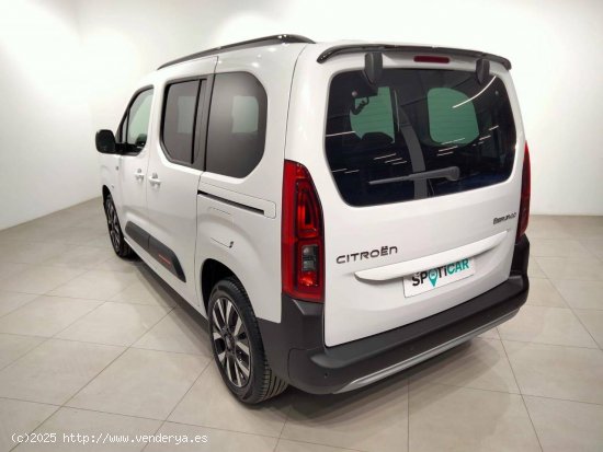 Citroën Berlingo  Talla M BlueHDi 130 S&S Max - VITORIA