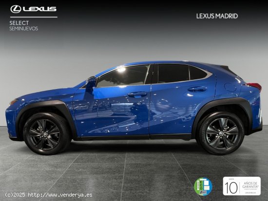 Lexus UX 2.0 250h Premium - El Plantío