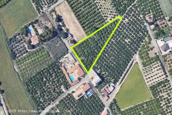  SE VENDE TERRENO RUSTICO EN LLANO DE BRUJAS - MURCIA 