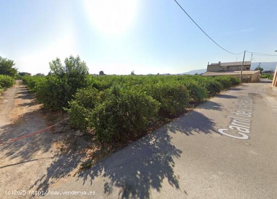 SE VENDE TERRENO RUSTICO EN LLANO DE BRUJAS - MURCIA