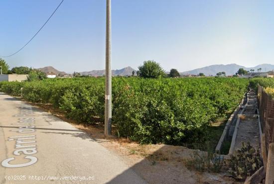 SE VENDE TERRENO RUSTICO EN LLANO DE BRUJAS - MURCIA