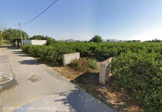 SE VENDE TERRENO RUSTICO EN LLANO DE BRUJAS - MURCIA