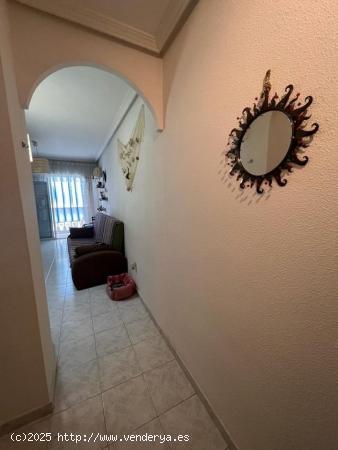 REBAJADOO!! ESTUDIO AL LADO DE PLAYA LOS LOCOS 56.000€ - ALICANTE