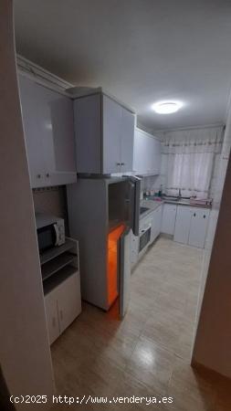 REBAJADO!! TORREVIEJA 2 HABS  ZONA MERCADONA 76.900 EUROS GRAN ESTADO.... - ALICANTE